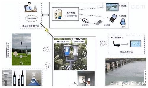 物聯(lián)網(wǎng)技術(shù)在水產(chǎn)養(yǎng)殖系統(tǒng)中提升運行穩(wěn)定性的關(guān)鍵技術(shù)開發(fā)