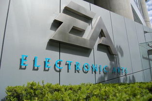 技術(shù)開(kāi)發(fā) 華裔新移民在加拿大就業(yè)的智慧之路